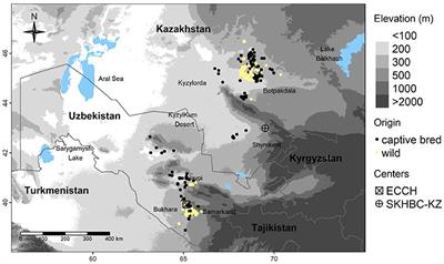 Timing of Release Influence Breeding Success of Translocated Captive-Bred Migrant Asian Houbara Bustard